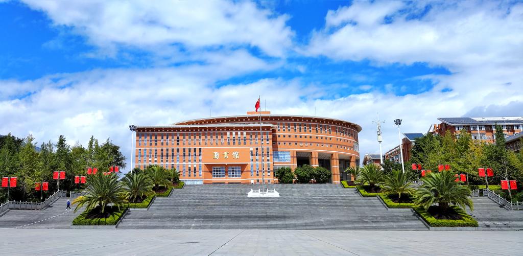 学习进行时